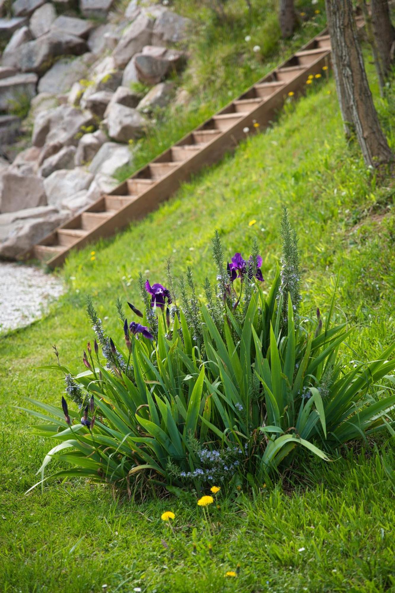 Domaine Des Rigaud Garchizy Exterior foto